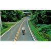 Image 9 : The Place Beyond The Pines Luke's (Ryan Gosling) Hero, Signed Motorcycle