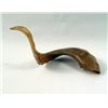 Image 1 : Lord Of The Rings: Fellowship Horn Prop