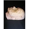Image 2 : Tim Robbins Lifecast