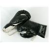 Image 1 : Sugar Shane Mosley Signed Boxing Gloves