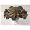 Image 1 : Larry Hagman Collection Benes Ladies Hat With Rosettes