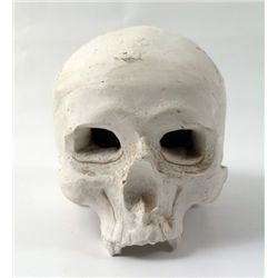 Dexter Skull Prop