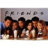 Image 2 : Friends & Girlfriends TV Scripts