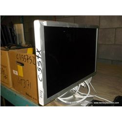 APPLE 19" LCD