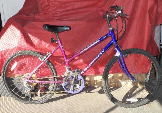 Murray 15 Speed Mountain Bike 2025