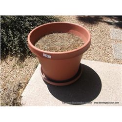 FLOWER POT