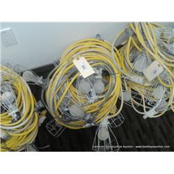 CORD-O-LITE 50' TEMPERATURE LIGHT