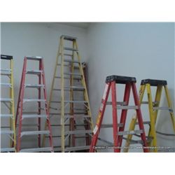 WERNER 10' STEP LADDER