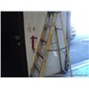 Image 1 : WERNER 6' LADDER