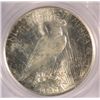 Image 3 : 1926-S PEACE DOLLAR PCGS MS64