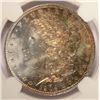 Image 2 : 1904-O MORGAN DOLLAR NGC MS63 TONED