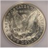 Image 3 : 1921 MORGAN DOLLAR ICG MS64