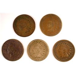 5 DIFFERENT INDIAN HEAD CENTS (64 CN,64 BR,65,66,67) AG-GOOD