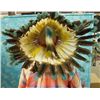 Image 5 : Plains Indian Bonnet