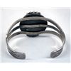 Image 3 : Navajo Old Pawn Sterling Unikite Bracelet