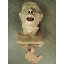 1940's Medical School Latex Head Training Model