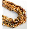 Image 2 : Santo Domingo Four Strand Graduated Shell Necklace