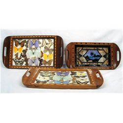 3 Marquetry Trays With Butterfly Displays