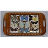 Image 2 : 3 Marquetry Trays With Butterfly Displays