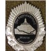 Image 1 : NAZI VETERAN LEADERS STARBURST MEDALLION FOR ARMBAND