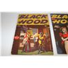 Image 2 : BLACK HOOD COMICS #14 & 18 (1945-46)