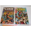 Image 2 : CONAN THE BARBARIAN #1-262 + ANNUALS (1970-92) LONG BOX RUN & DUPLICATES. INCLUDES MOST ISSUES