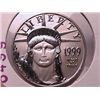 Image 1 : 1999 One Ounce Platinum Eagle