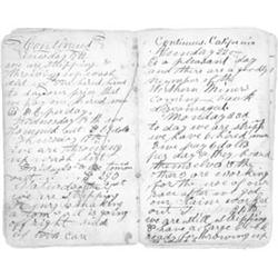 (CALIFORNIA GOLD MINER'S DIARY)