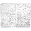 Image 1 : (CALIFORNIA GOLD MINER'S DIARY)