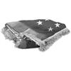 Image 1 : WORLD WAR I 2ND ANTI-AIRCRAFT MACHINE GUN BATTALION NATIONAL FLAG