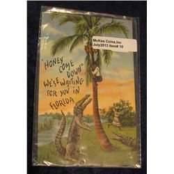 10. Racial Post Card ""Honey Come Down" We'se Waiting for you in Florida". Depicts Afro American up 