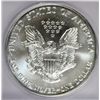 Image 3 : 2002 SILVER AMERICAN EAGLE ICG MS70