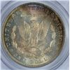 Image 3 : 1891 O MORGAN DOLLAR PCGS MS 65 GEM! SUPERB RAINBOW COLORS! A BARGAIN!