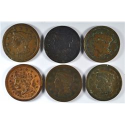 6 DIFFERENT LARGE CENTS (49,50,51,52,53,56) GOOD-VG