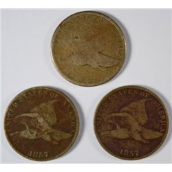 3-1857 FLYING EAGLE CENTS "GRADING SET" (AG, GOOD, VG)