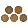 5 DIFFERENT INDIAN HEAD CENTS (75,76,79,81,82) AG-VF