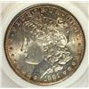 Image 2 : 1881-S MORGAN DOLLAR NCI MS65