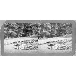 (BATTLE OF GETTYSBURG STEREOVIEW)