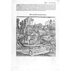 (THE NUREMBURG CHRONICLE)