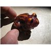 Image 2 : Red Sapphire Frog