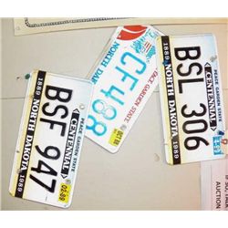 3- Vintage License Plates