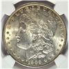 Image 2 : 1900 MORGAN DOLLAR NGC MS62