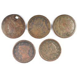 5 CULL LARGE CENTS