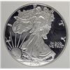 Image 2 : 2006-W PROOF SILVER AMERICAN EAGLE NGC PF-69 UC