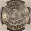 Image 3 : 1882 MORGAN DOLLAR NGC MS64 BLAST WHITE