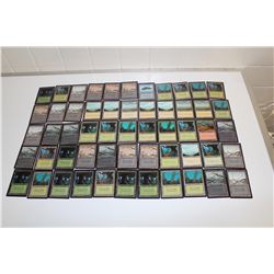 MTG- 55 BETA AND FOREIGN BLACK BORDERED BASIC LANDS, VF/NM LIGHTLY PLAYED