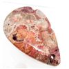 Image 1 : 71.0 CT. NIPOMO CORAL FOSSIL PENDANT