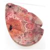 Image 2 : 71.0 CT. NIPOMO CORAL FOSSIL PENDANT