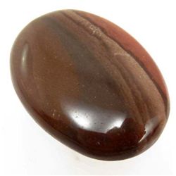 45.10 CT. POLOGRAM JASPER GEMSTONE