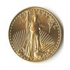 Image 1 : US American Gold Eagle Uncirculated Half Ounce